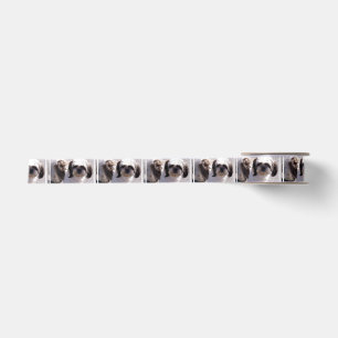 Shih-Tzu Satinband