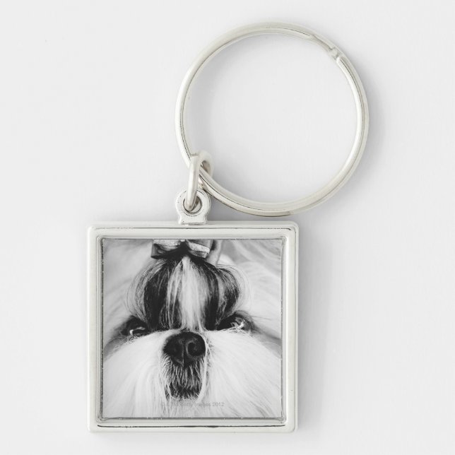 Shih Tzu Schlüsselanhänger (Vorne)