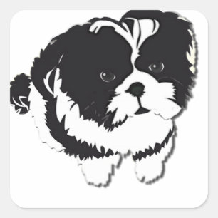 Shih Tzu Schwarz-weiß Dog Pet Quadratischer Aufkleber