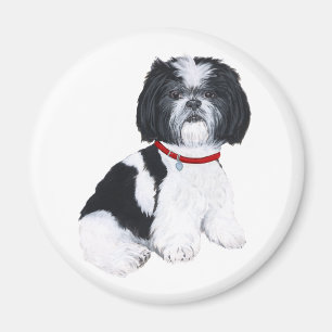 Shih Tzu Schwarz & Weiß Magnet