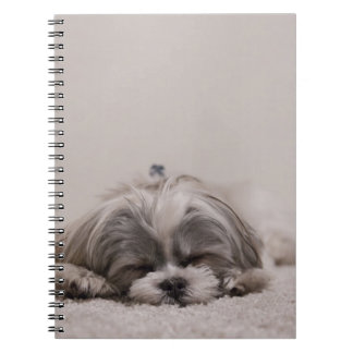 Shih tzu Sleeping Hund Notizblock