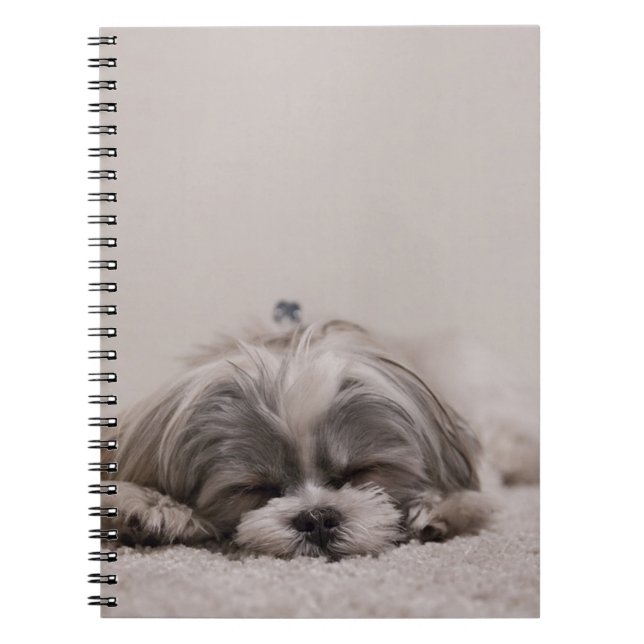 Shih tzu Sleeping Hund Notizblock (Vorderseite)