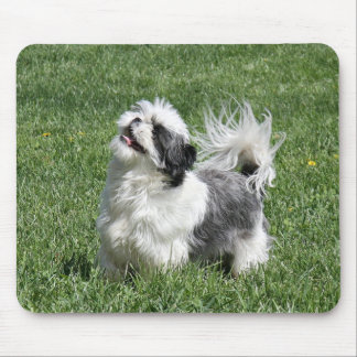 shih tzu spielen mousepad