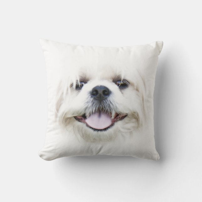 Shih Tzu stellen gegenüber Kissen (Vorderseite)