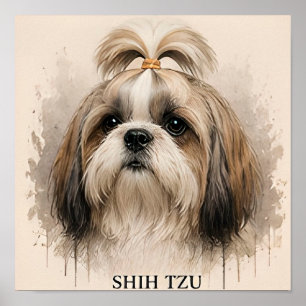 Shih Tzu Süßer Begleithund Geschenk Poster