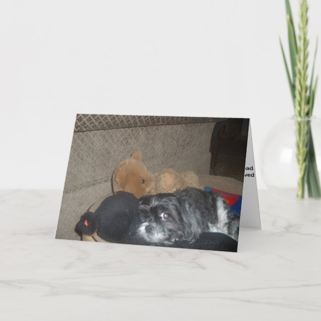 Shih Tzu Sympathy Card Karte (Vorderseite)