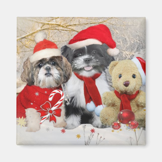 Shih Tzu & Teddy Bear Xmas Card Magnet (Vorne)