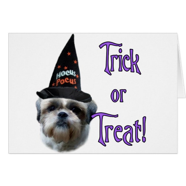 Shih Tzu Trick (Vorderseite (Horizontal))