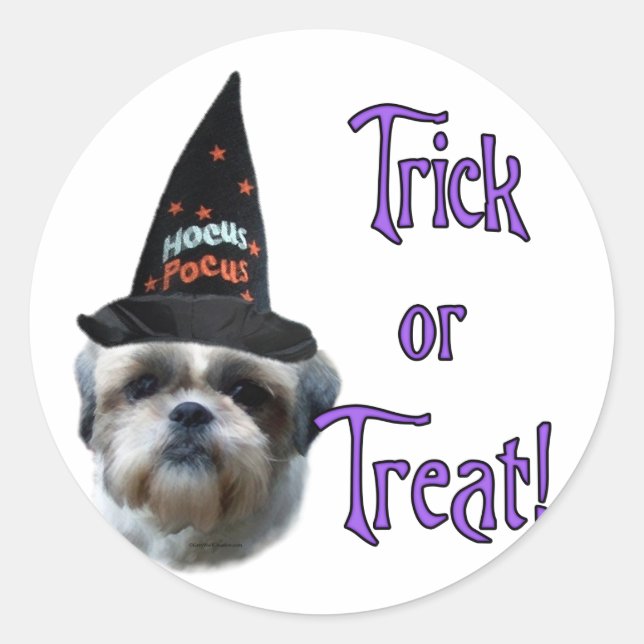 Shih Tzu Trick Runder Aufkleber (Vorderseite)