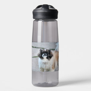 Shih Tzu Trinkflasche