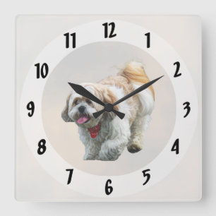 Shih Tzu Walking Quadratische Wanduhr