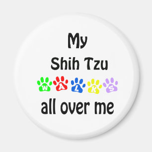 Shih Tzu Walks Design Magnet