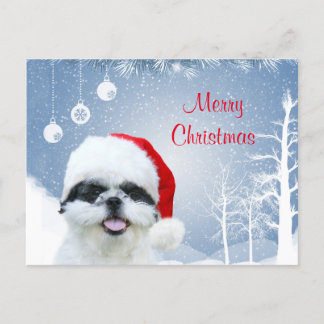 Shih Tzu Weihnachten