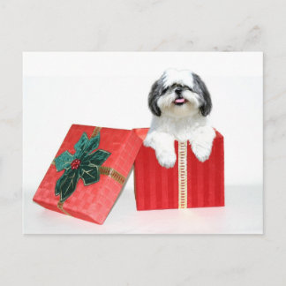 Shih Tzu Weihnachtsgeschenk Feiertagspostkarte