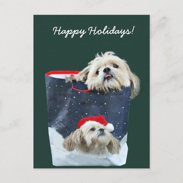 Shih Tzu Weihnachtsgeschenk Feiertagspostkarte (Vorderseite)