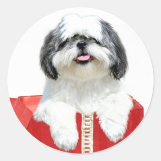 Shih Tzu Weihnachtsgeschenk Runder Aufkleber