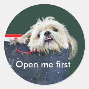 Shih Tzu Weihnachtsgeschenk Runder Aufkleber