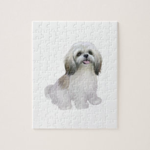 Shih Tzu - Weiß mit Grau-tan