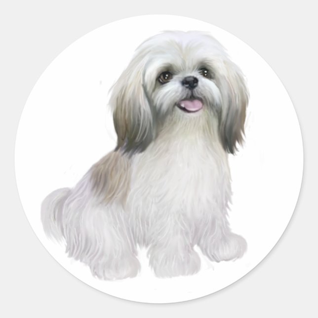 Shih Tzu - Weiß mit Grau-tan Runder Aufkleber (Vorderseite)