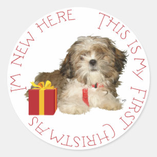 Shih Tzu Welpe erstes Weihnachten Runder Aufkleber