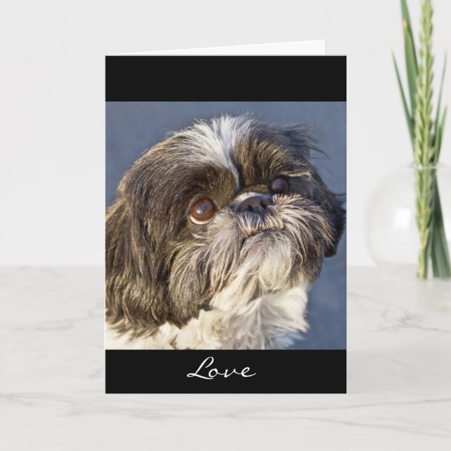Shih Tzu Welpe Grußkarte - Verse Inside Karte (Vorderseite)