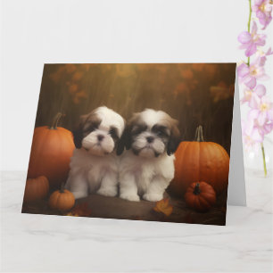 Shih Tzu Welpe Herbstfreude Kürbis  Karte