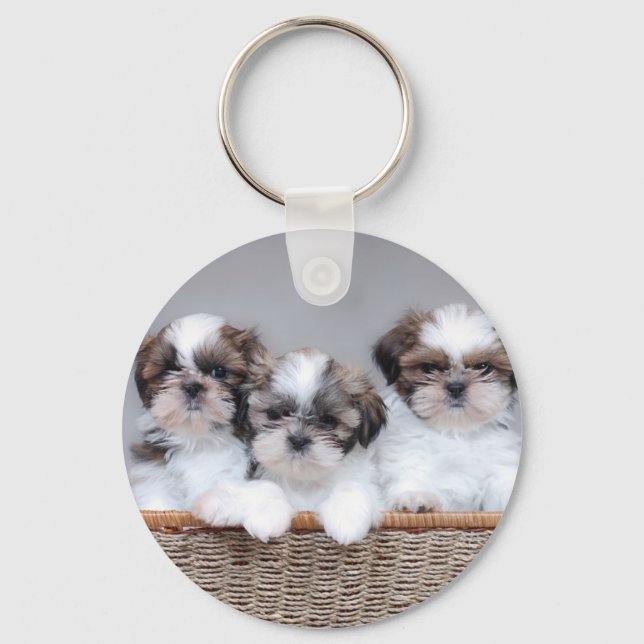 Shih Tzu Welpen Schlüsselanhänger (Vorderseite)