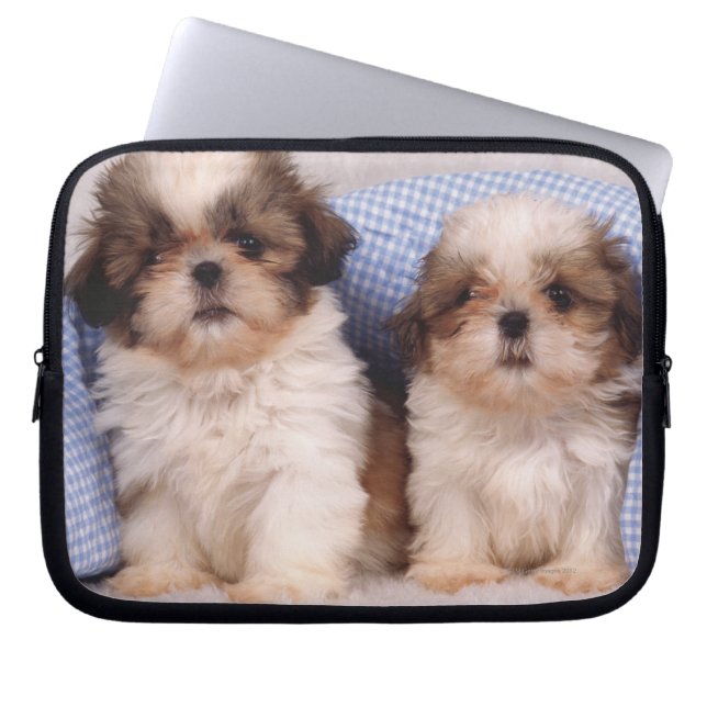 Shih Tzu Welpen unter einer kontrollierten Decke Laptopschutzhülle (Vorderseite)