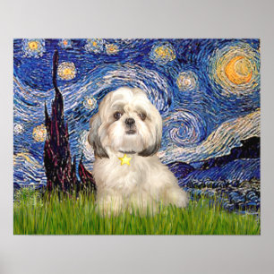 Shih Tzu (Y) - Sternennacht Poster