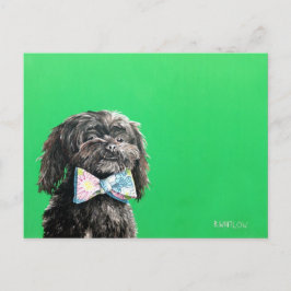 Shih Tzu Yorkie Dog Postcard - Chip Postkarte