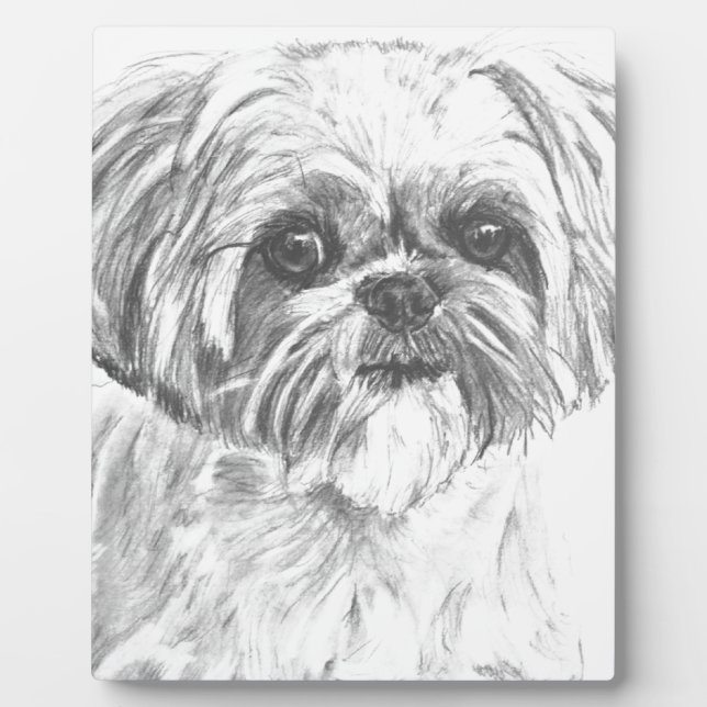 Shih Tzu Zeichnend Fotoplatte (Vorderseite)