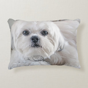 Shih Tzu Zierkissen