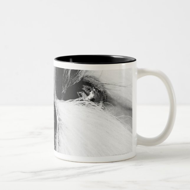 Shih Tzu Zweifarbige Tasse (Rechts)