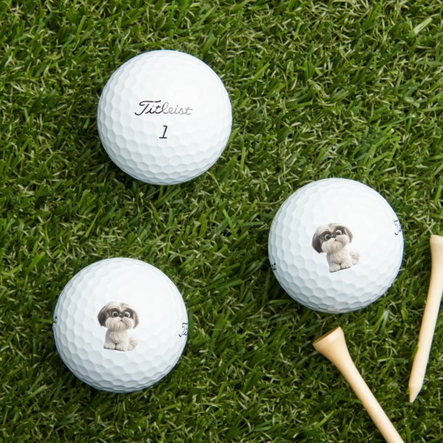 Shihtzu Golfbälle (Insitu Gras)