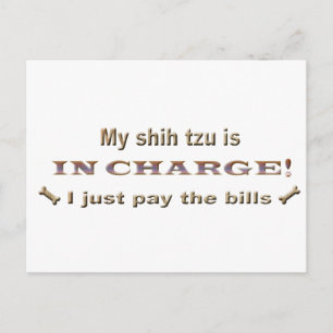 Shihtzu Postkarte