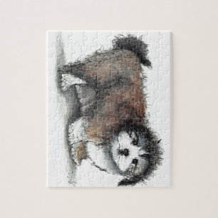 Shihtzu Puppy Dog, Pet