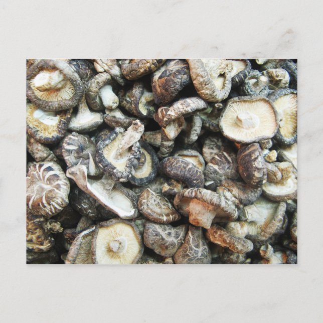 Shiitake Mushrooms Postkarte (Vorderseite)