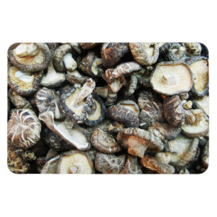 Shiitake-Pilze Magnet