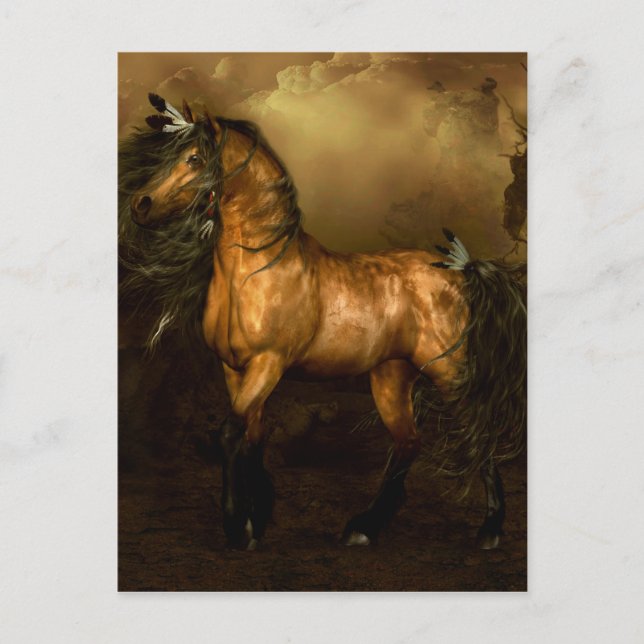 Shikoba Indianerpferd Postkarte (Vorderseite)