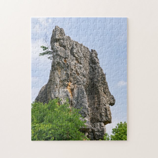 Shilin pinnacles Steinwald - Yunnan, China, Asien (Vertikal)