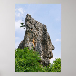 Shilin pinnacles Steinwald - Yunnan, China, Asien Poster
