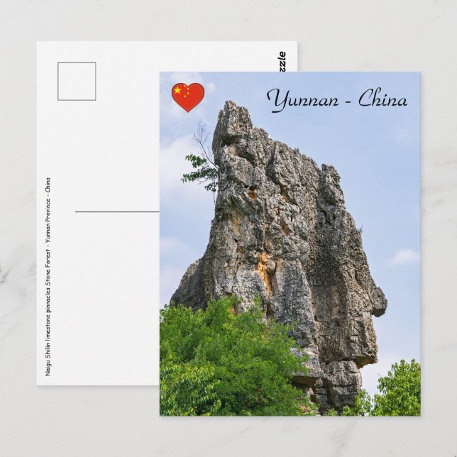 Shilin pinnacles Steinwald - Yunnan, China, Asien Postkarte (Vorne/Hinten)