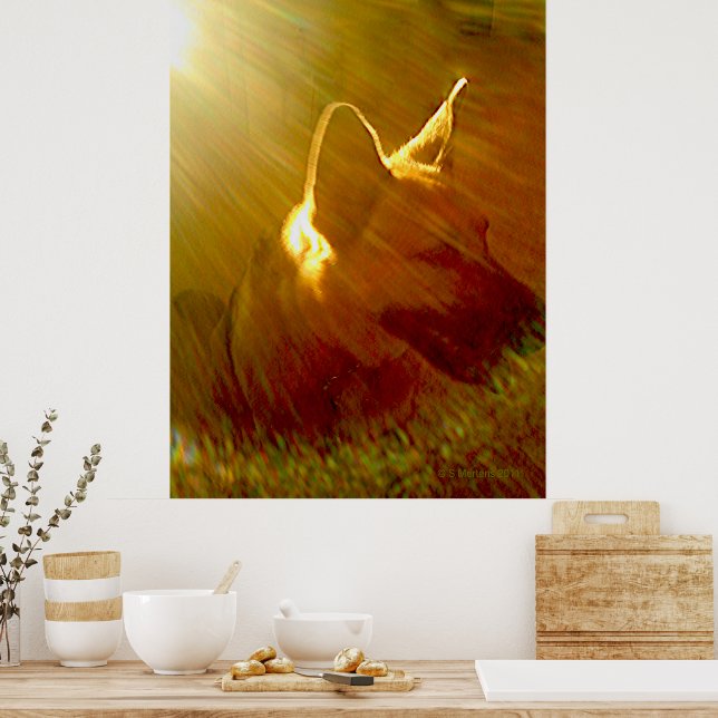 Shine on Me German Shepherd #1 Poster (Küche)
