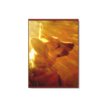 Shine on Me German Shepherd #2