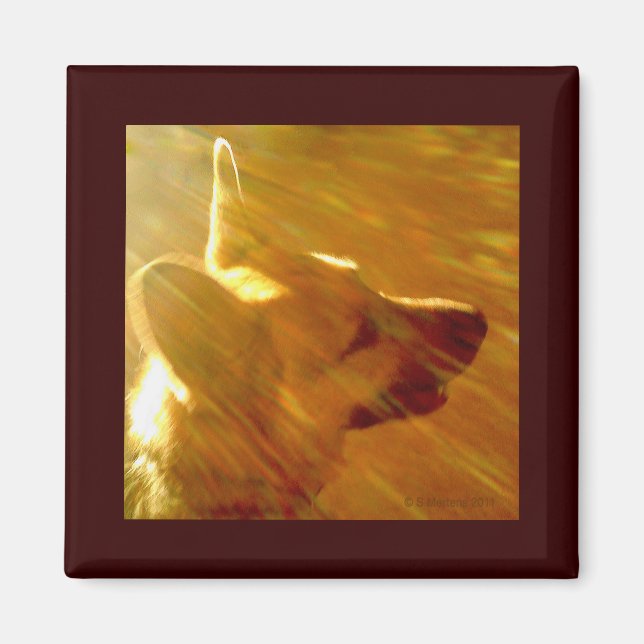 Shine on Me German Shepherd #2 Magnet (Vorne)