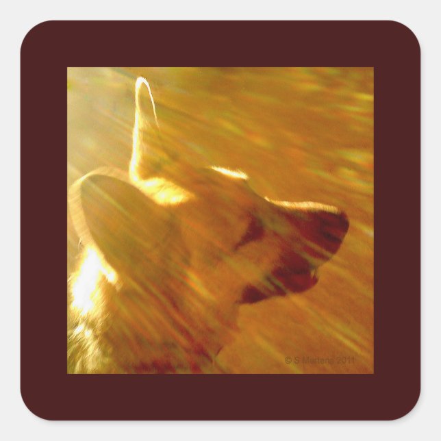 Shine on Me German Shepherd #2 Quadratischer Aufkleber (Vorderseite)