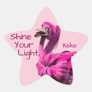 Shine your Light Kleber Stern-Aufkleber