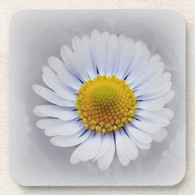 shining white daisy untersetzer (Vorderseite)