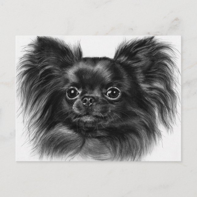 Shiny Charm - Handgemalte Chihuahua Art Postkarte (Vorderseite)