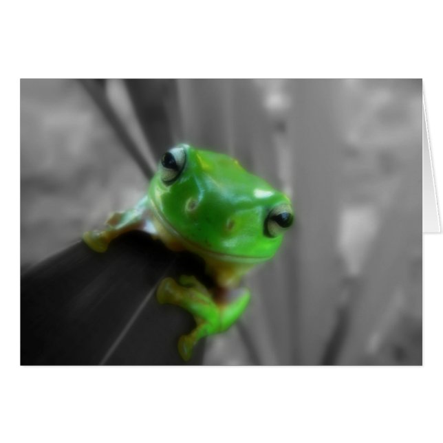 Shiny Green Frog (Vorderseite (Horizontal))